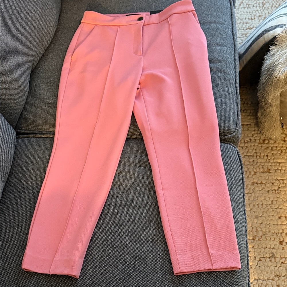 Express Pink Ankle Pants